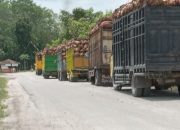 Dugaan TBS Mentah Pihak Ketiga Bebas Sortir Masuk ke PKS Dosin Regional-2, Manajemen Dikonfirmasi Bungkam